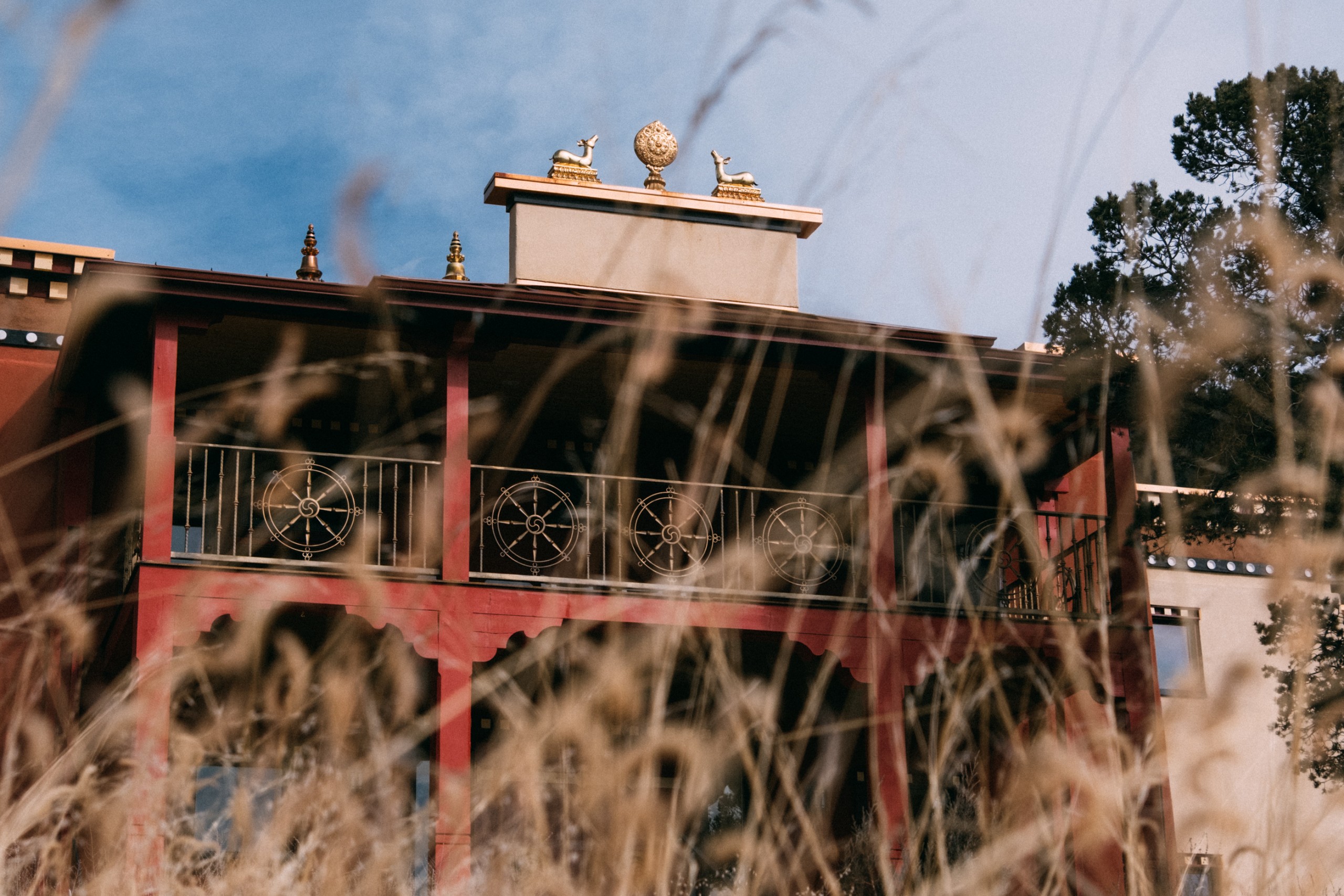 The red balcony and rooftop ornaments of a Tibetan-style building seen through tall dry grass against a blue sky