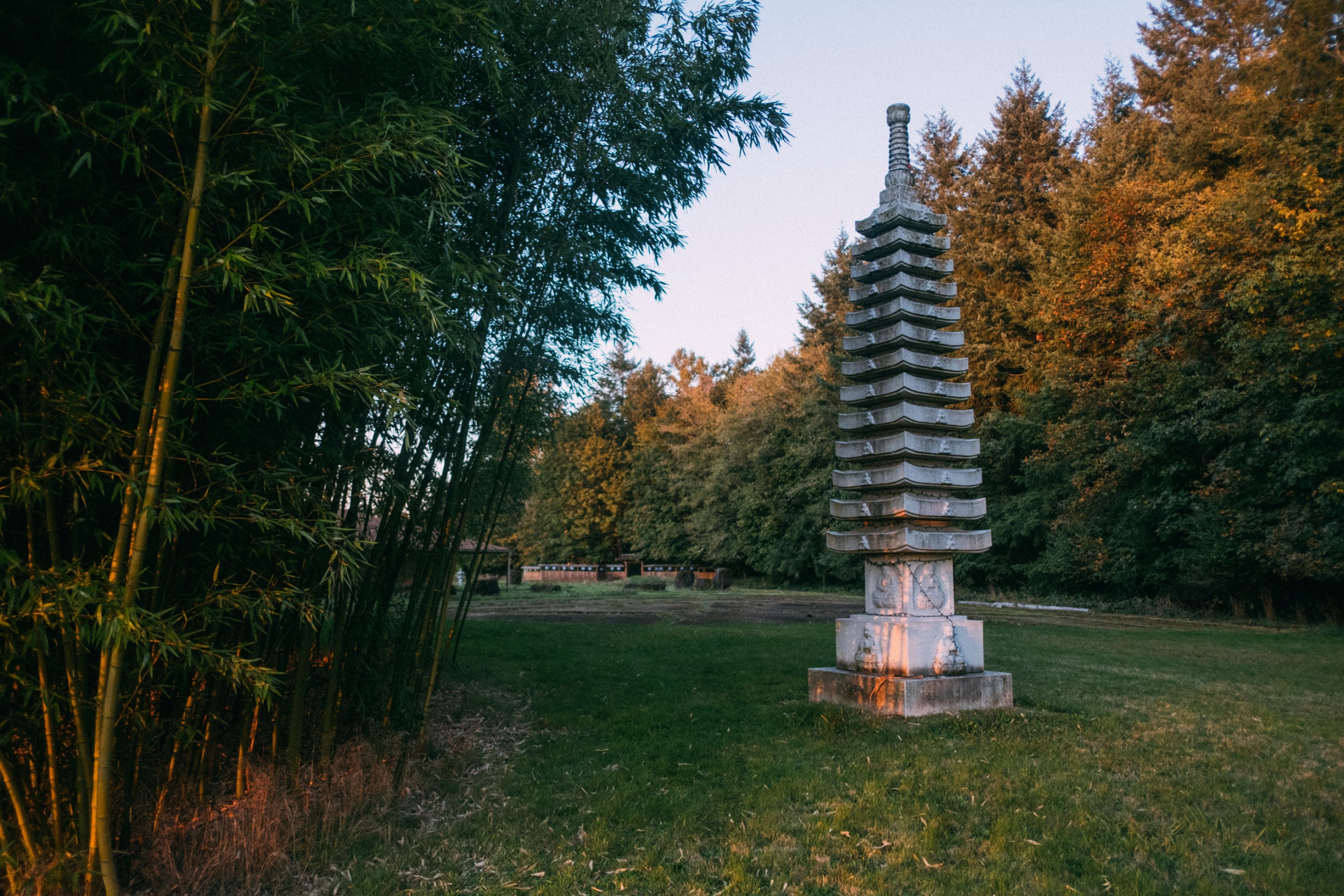 A tall stone pagoda stands on a lawn between bamboo and autumn trees at dusk